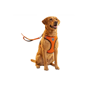 Cat Dog Pet Harness Adjustable Control Vest Dogs Reflective S M L XL