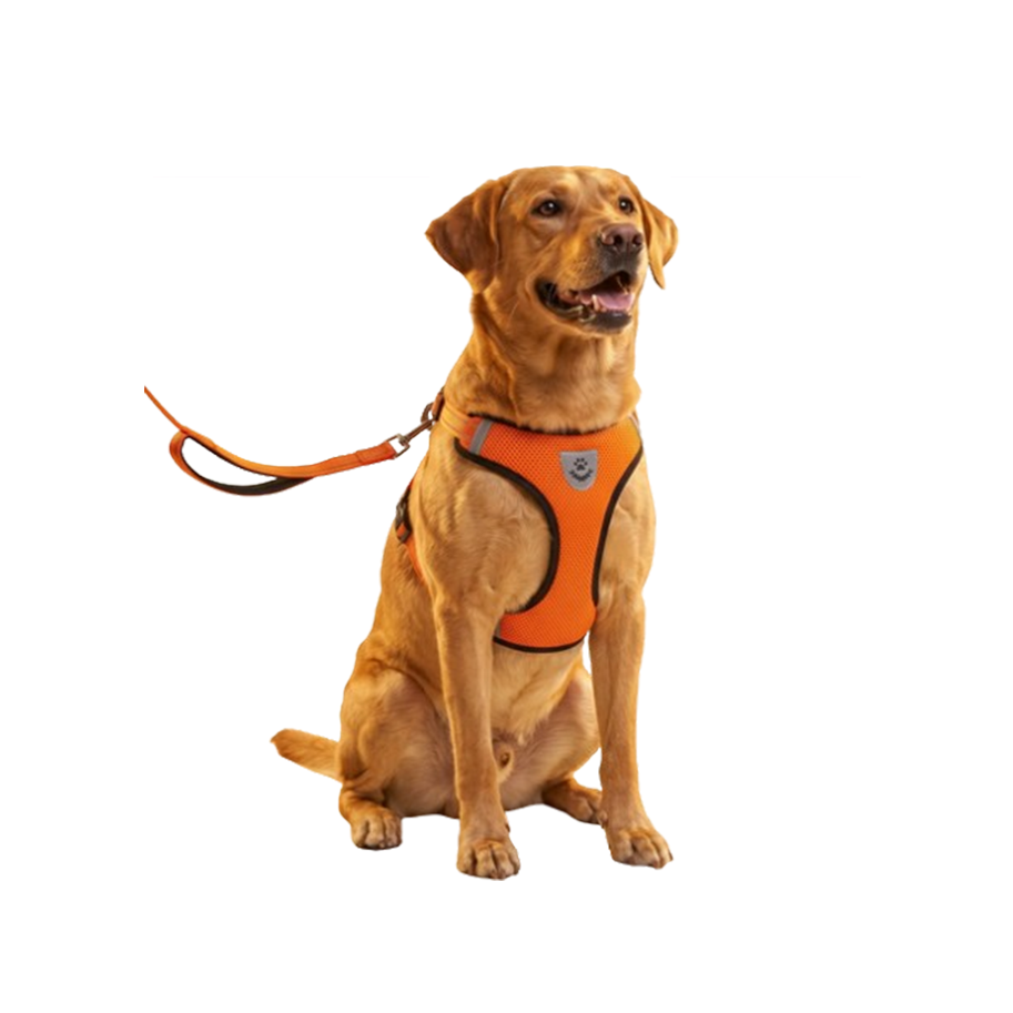 Cat Dog Pet Harness Adjustable Control Vest Dogs Reflective S M L XL