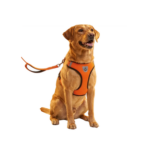 Cat Dog Pet Harness Adjustable Control Vest Dogs Reflective S M L XL